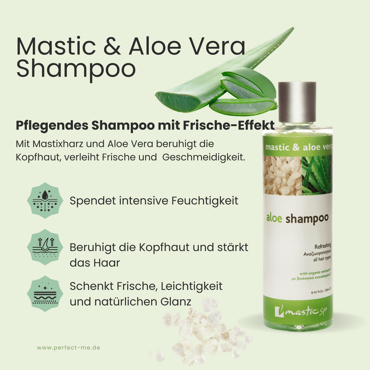 Erfrischendes Aloe Vera Shampoo